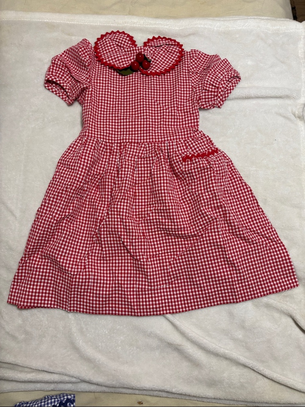 Vintage Red Gingham Checkered Dress